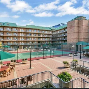 Apartment City - Free Parking, 3 Bedrooms And 2 Bathrooms Adelaide